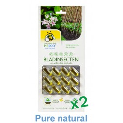 Pireco leaf insects capsules à 24