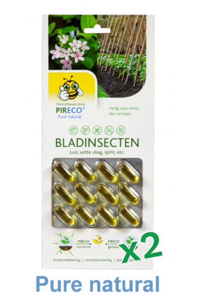 lily bulb Pireco leaf insects capsules à 24
