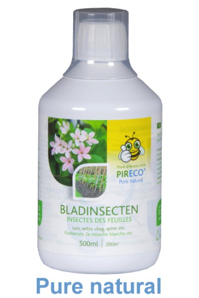 lily bulb Pireco leaf insects bottle 0.5 liter